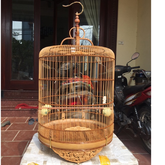 Lồng choè than chân đục bát tiên