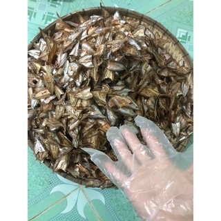 Cá tép dầu sông Đà