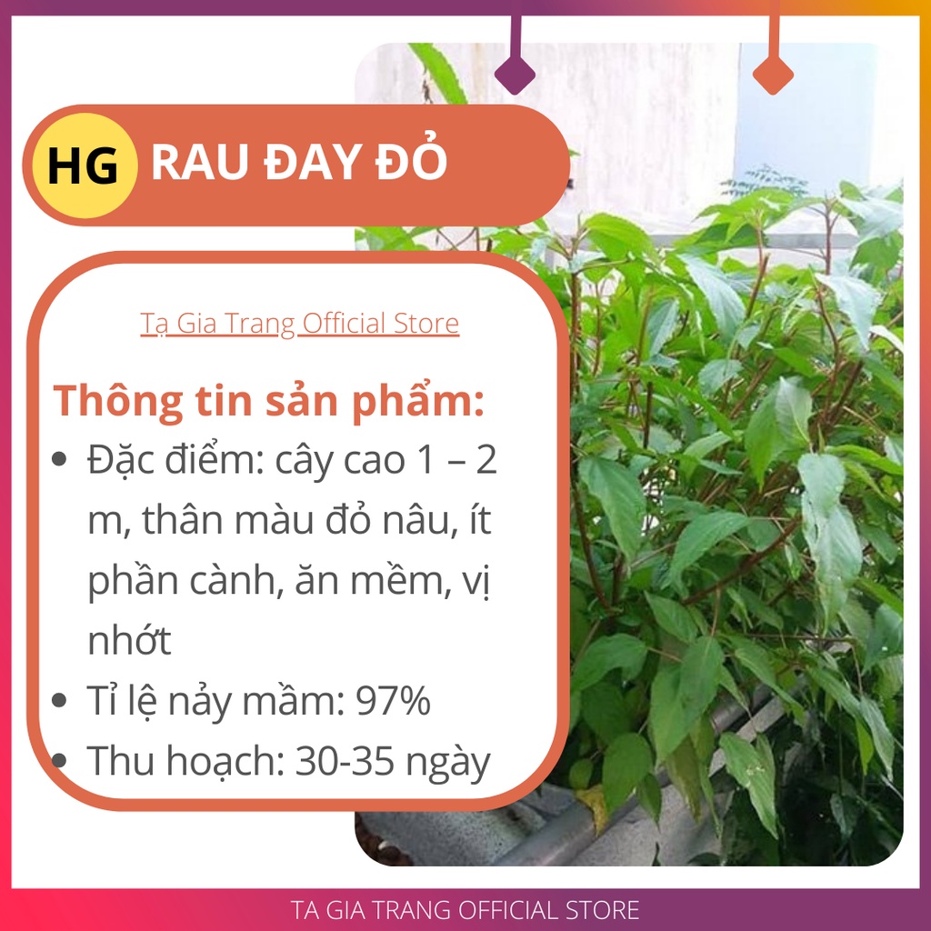 [Bán sỉ] - Hạt giống rau đay đỏ