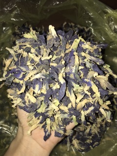 Hoa đậu biếc HandMade
