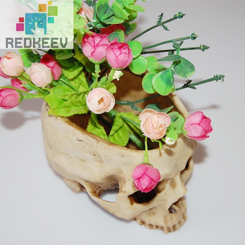 Chậu trồng cây bằng resin hình đầu lâu độc đáo