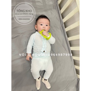 Gặm nướu Tobe