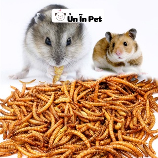 Đồ ăn hamster, SÂU SẤY cung cấp đạm