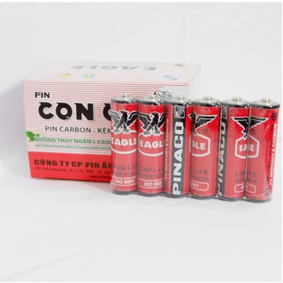 Cặp 2 pin AA Con Ó Pinaco 1.5V cặp 2 pin