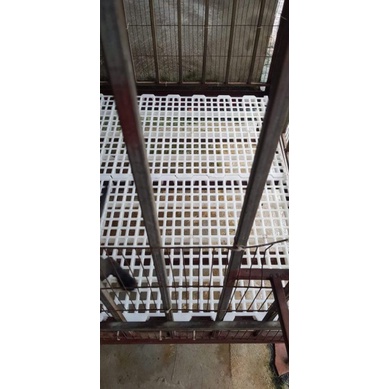 Sàn nuôi dê, vịt, chồn hương 100x50cm