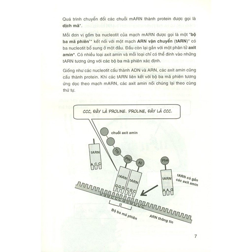 Sách - Dẫn Nhập Ngắn Về Khoa Học - Di Truyền Học Biểu Sinh - Minh Họa Sinh Động Bằng Tranh