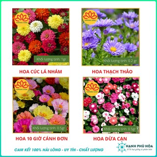Combo Hạt Giống Hoa Sen Vàng Nhiều Màu - Cúc Lá Nhám - Hoa Mười Giờ Mỹ Cánh Kép- Hoa Dừa Cạn- Hoa Thạch Thảo