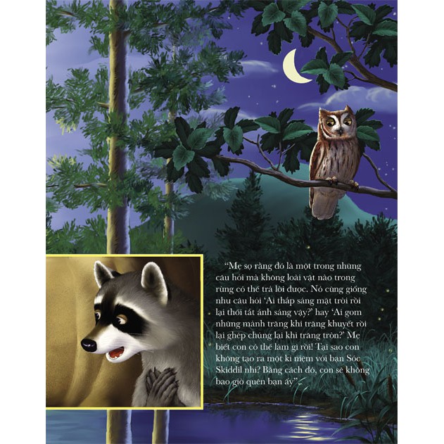 Sách Gấu mèo Chester và quả sồi đong đầy kỷ niệm