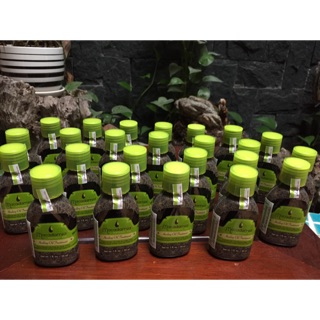 Tinh dầu macadamia 30ml chính hãng