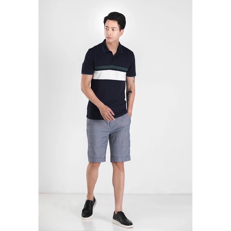 Polo Nam basic
