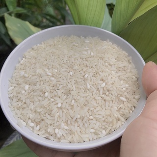 Gạo nhà trồng (gạo tám nam định)