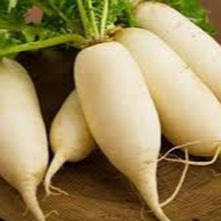 20gram HẠT GIỐNG CỦ CẢI TRẮNG