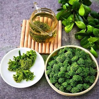 [hàng loại I] Nụ Hoa Tam Thất (Loại xịn, không cuống)_100gr [Organic]