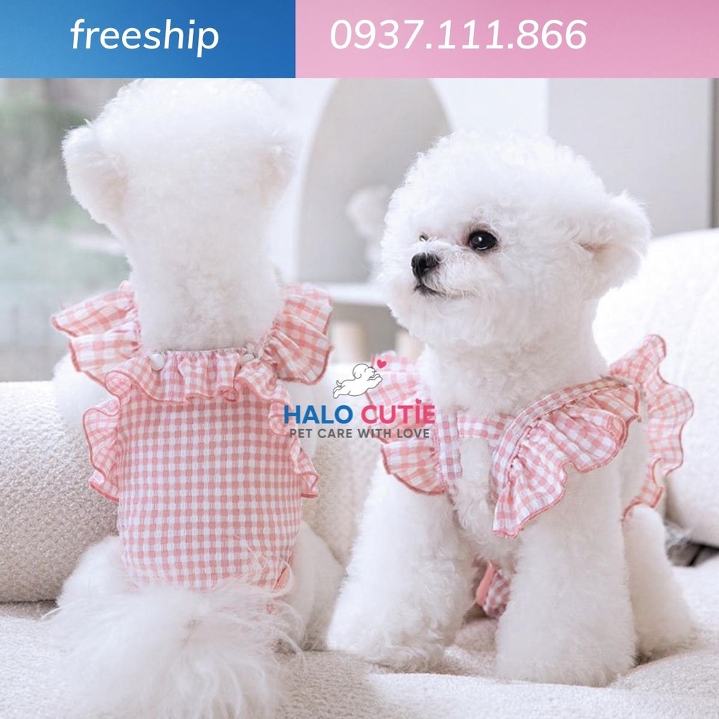 Yếm quần sinh lý cho chó mèo, thú cưng