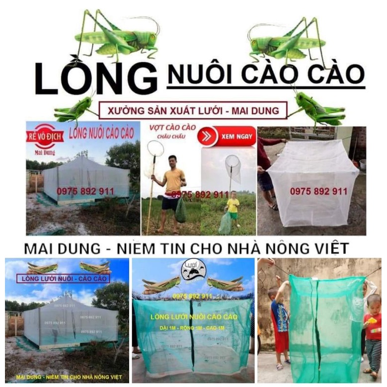 Lồng nuôi cào cào 5x4x2