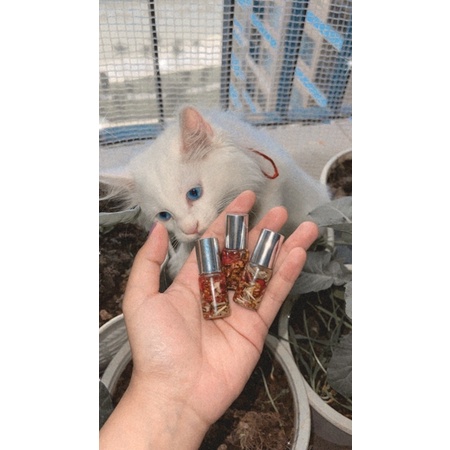 Oil Spell - Spell dầu thoa hỗ trợ thu hút may mắn