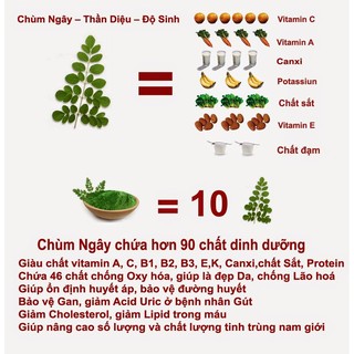 Bột Chùm ngây khách sỉ