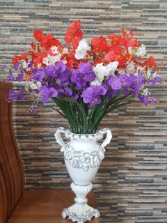 Hoa lan vũ nữ cành