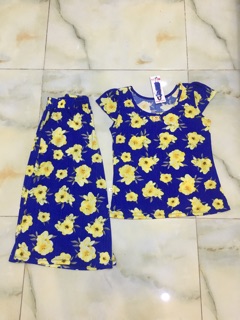Sét bộ lửng ống rộng thun gân
