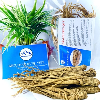 Sâm Đương Quy nguyên củ loại to, đẹp hàng chất lượng