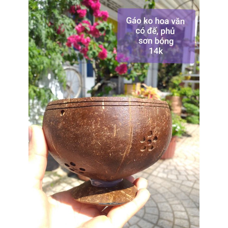Chậu trồng sen đá từ gáo dừa có đế, phủ sơn bóng
