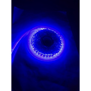 LED dây dán 12V - 120 led/Mét - Cuộn 5m