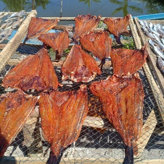 ❤️FREESHIP❤️ ❤️BÁN LẼ GIÁ SỈ❤️ 1KG KHÔ CÁ NGÁT NHÀ LÀM  LOẠI 1