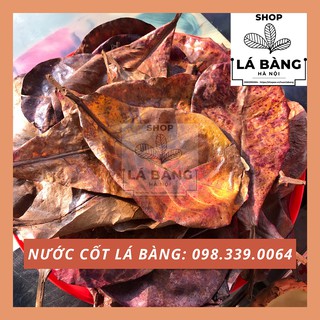 NƯỚC CỐT LÁ BÀNG KHÔ TỰ NHIÊN + BỔ SUNG VITAMIN VÀ KHOÁNG VI LƯỢNG CHO CÁ RỒNG, BETTA, GUPPY, LA HÁN, ỐC TÉP RÙA NƯỚC