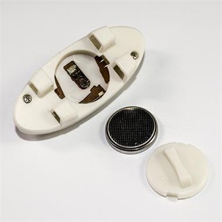 1 CẶP Dây giày tự phát sáng