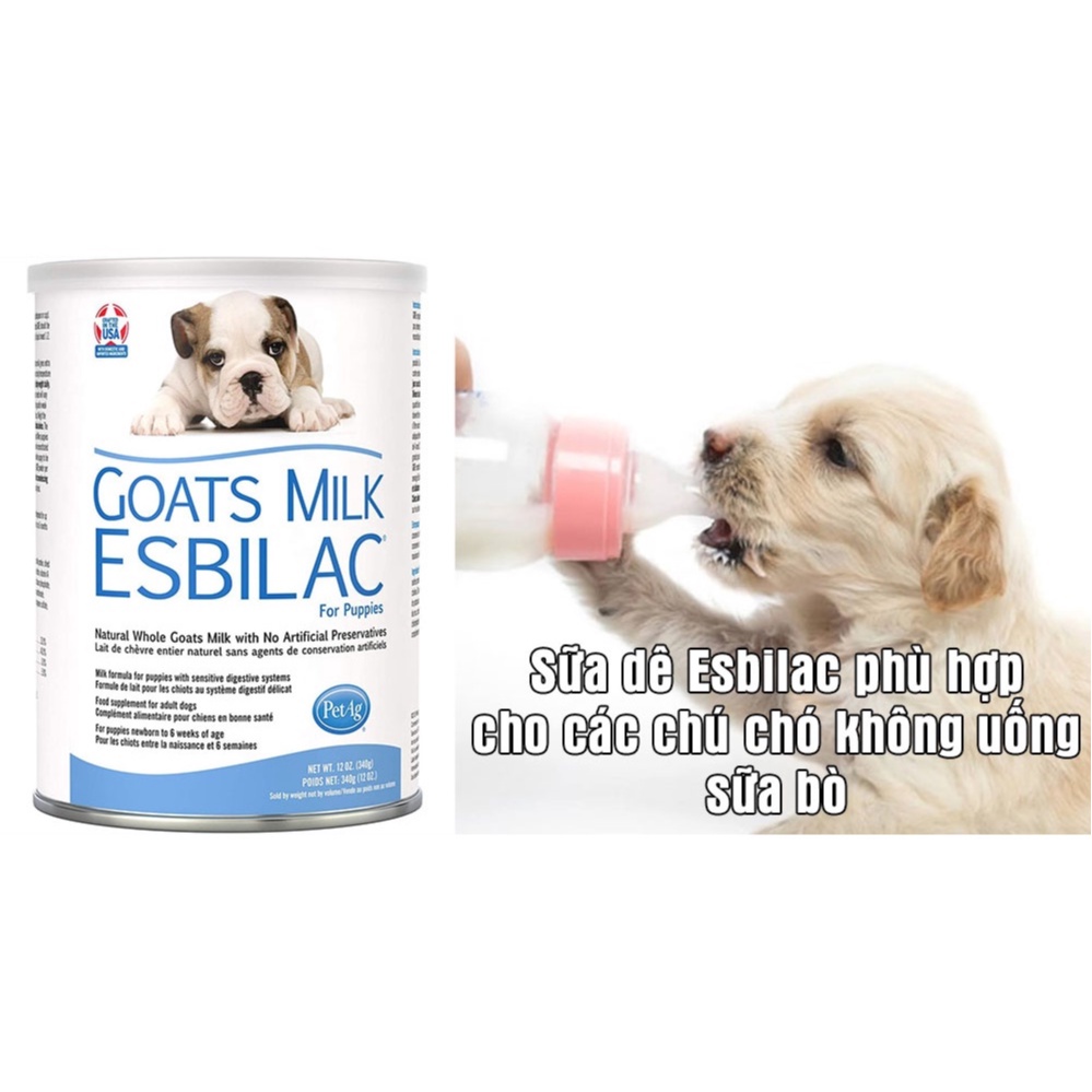 Sữa bột cho chó PetAg ESBILAC Goats Milk Mỹ - 340g