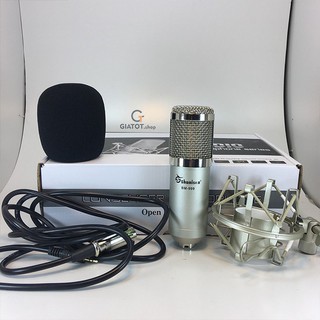 mic thu âm BM-900, BM-999