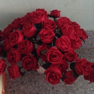 Hoa hồng giấy nhún nhiều màu