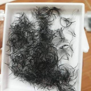 Fan mi xưởng