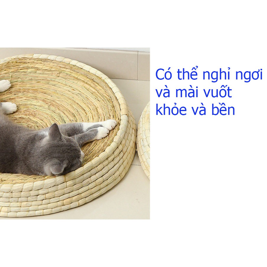Bàn cào và nằm ngủ bằng rơm cho mèo