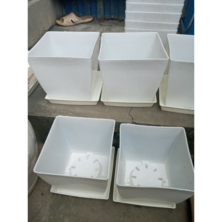 SIÊU PHẨM CHẬU VUÔNG 20CM KÈM ĐĨA