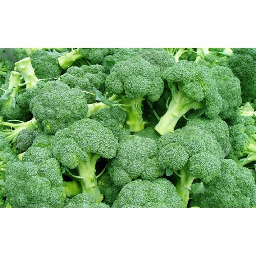 Gói 0,2g bông cải xanh rado 687 bông siêu to
