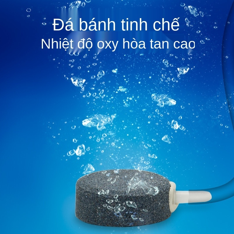 Bể cá bơm oxy bể bơi máy sục khí ao cá năng lượng mặt trời máy bơm khí quyển mới thanh oxy thủy canh gia đình rau