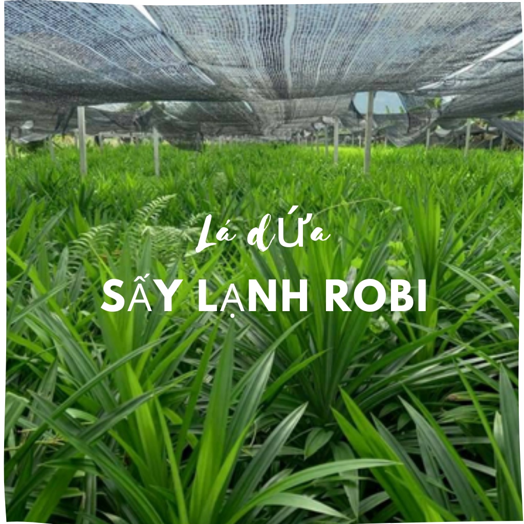 Lá dứa sấy lạnh Robimart gói 20 gram - Hàng loại 1 chính hãng