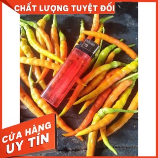 ớt tằm siêu cay thái lan