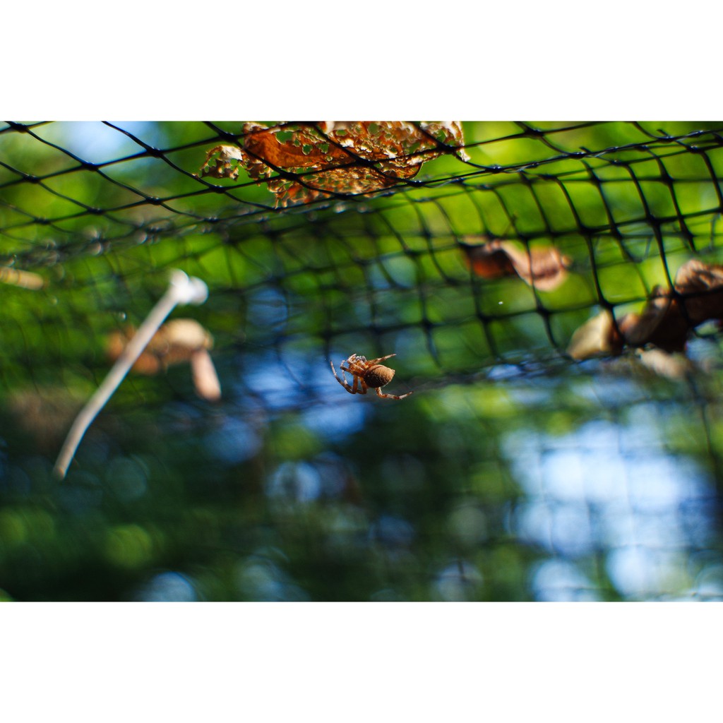 Ống kính máy ảnh Spiratone 28mm f2.0 MF Minolta MD  - 14645