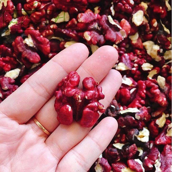 Nhân Óc chó đỏ Mỹ  - Shelled Red Walnut Óc chó đỏ tách vỏ