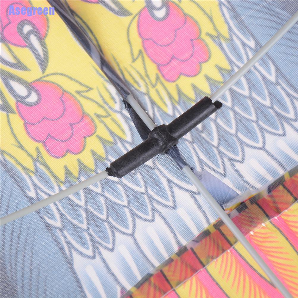 Chú Chim Đại Bàng Cỡ Lớn Độc Đáo