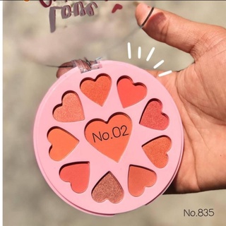Phấn Mắt/Má/Nền Nhũ 10 Ô Trái Tim ANYLADY