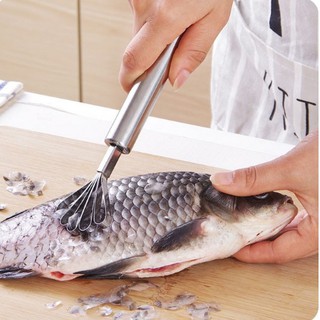 DỤNG CỤ ĐÁNH VẨY CÁ, LẠO DỪA