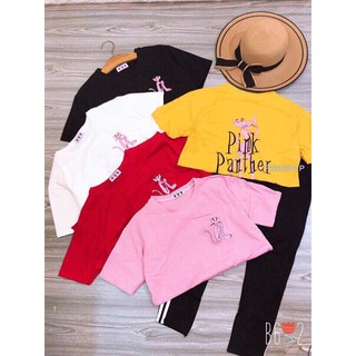 Set bộ báo hồng