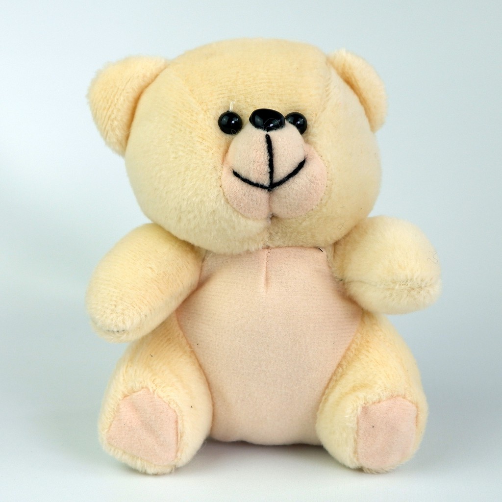 Bó Hoa Gấu Bông Teddy Mini 6.6 Màu Sắc Xinh Xắn