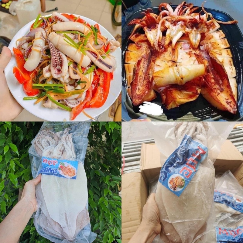 MỰC COTO 1 NẮNG 1 KG NET 7
