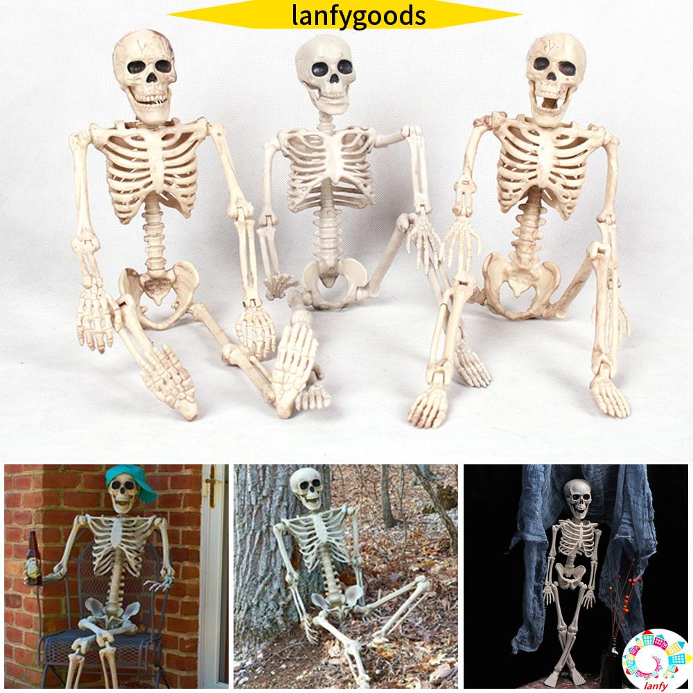 Mô hình bộ xương người 40cm dùng làm đạo cụ chụp ảnh tiệc halloween đa năng