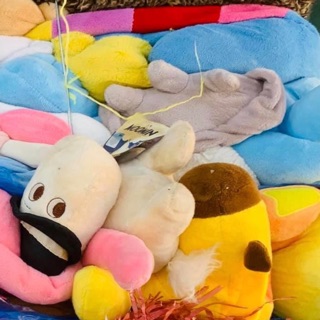 Đơn hàng an ngọc