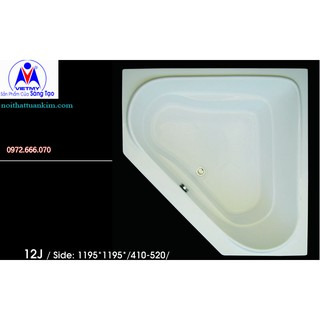 Bồn tắm Việt Mỹ 12J